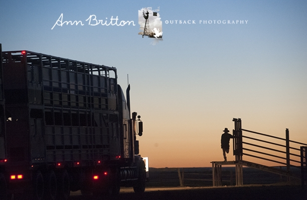 Ann Britton: “View Outback QLD via My Lens” Exhibition